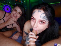 Grosse titten, Blasen, Hundestellung, Lingerie, Pov, Rau, Flotter dreier, Titten