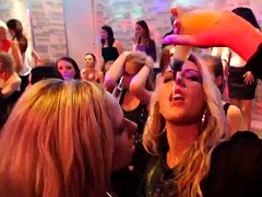 Busty european babes cocksucking at sexparty