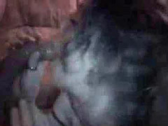 Amateur, Verga grande, Mamada, Atrapados, Engañando, Madres para coger, Chupando, Esposa