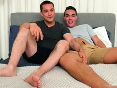 Homosexuelle, Hd