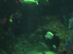 Leie, Arsch, Blondine, Freundin, Brille, Pov, Geschwollene nippel, Muschi