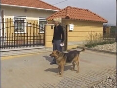 Blond, Bruinharig, Vingeren, Hd, Lesbisch, Kut duiken