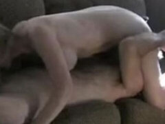 Amateur, Rubia, Mamada, Cornudo, Abuelita, Maduro, Madres para coger, Esposa