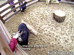 In den arsch, Blasen, Studentin, Fingern, Hd, Reiten, Rasiert, Jungendliche (18+)