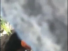 Bruinharig, Hd, Indisch, Buiten