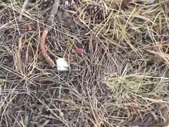 Большой член, Большие сиськи, Хд, Оргазм, На публике, Киски, Молоденькие, Сиськи