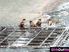 デカチン, デカパイ, 彼氏, 茶髪の, 巨乳な, Hd, 天然, 叫ぶ