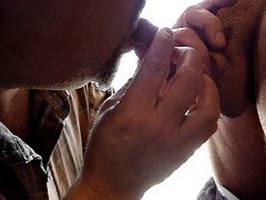 Amateur, Verga grande