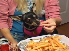 Blasen, Nahrung, Handjob, Hardcore, Natürlichen titten, Solo, Jungendliche (18+), Titten