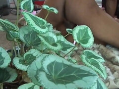 Большие сиськи, Черные, Блондинки, Черненькие, Волосатые, Секс без цензуры, Каблуки, Соски