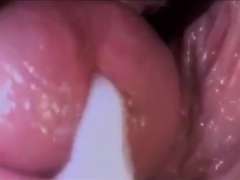 Ultimate Novice Creampie Compilation 1