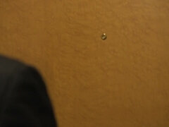 Culo grande, Tetas grandes, Tetona, Gordita, Sexo duro, Madres para coger, Mamá, Tetas naturales