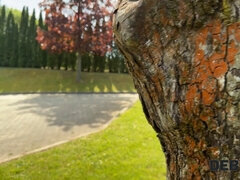 Красивые, Минет, Чешки, Член, Натуральные сиськи, От первого лица, Соблазенение, Чулки