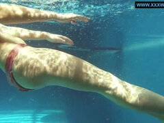 Kont, Lieveling, Grote kont, Bruinharig, Buiten, Biljart, Openbaar, Onderwater