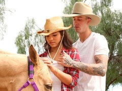 Cul, Grosse bite, Sucer une bite, En levrette, Branlette thaïlandaise, Rasée, Maigrichonne, Adolescente