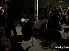 Садо мазо, Бондаж, Женское доминирование, Фистинг, Групповуха, Группа, На публике, Порка