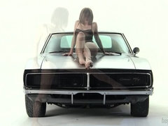 Жопа, Брюнетки, Бритые, Высокие, Сиськи