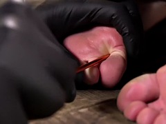 美女, 緊縛, 指いじり, 毛深い, 乳首, オマンコ, タトゥー, おもちゃ