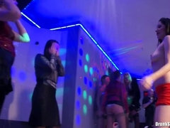 Party, Dusche, Nass