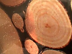 Enthousiasteling, Grote mammen, Rondborstig, Zwart, Vingeren, Hd, Douche, Tiener