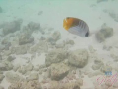 Playa, Penetracion con dedos, Novia, Masturbación, Pov, Afeitado, Tetas, Mojado