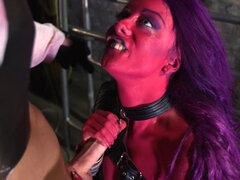 Поза 69, Жопа, Садо мазо, Минет, Ласковые ручки, Сиськи