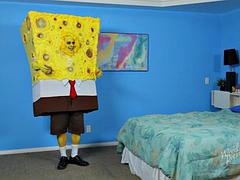 Sponge Knob: Blowjob, Amateur  Fansly Porn