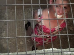 Blond, Aangekleed, Vrouw, Hakken, Softcore pornografie, Vastgebonden