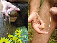 Amateur, Masturbation, De plein air, Voyeur