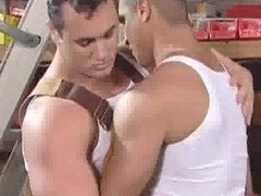 Workers, plumb, homo