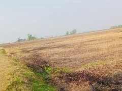 18 летние, Измена, Парочка, Женщины, Индианки, Писсинг, Киски, Вебкамера