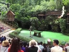 Любители, Брюнетки, Фетиш, Фут фетиш, Хд, На природе, От первого лица, Сиськи