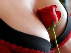 Arsch, Grosse titten, Handjob, Küssen, Masturbation, Milf, Strümpfe, Titten