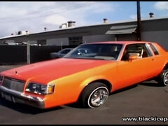 Black Pearl Jazmine Cashmere Porn Video