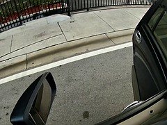 Hitchhiking beauty goes down on driver