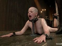 Alani Pi - Head Shaved Slut Live Show - Part 2