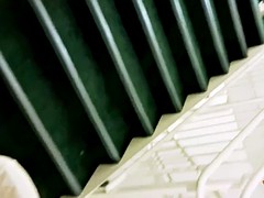 Leie, Grosser schwanz, Blasen, Schwarz, Interrassisch, Öffentlich, Ablutschen, Spanner