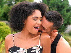 Kont, Bruinharig, Rondborstig, Hondjeshouding, Zwart, Handbeurt, Geschoren, Tieten likken