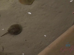 Amateur, Grossier, Robe, Petite amie, Masturbation, Orgasme, Culottes ou slips, Pov