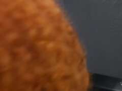 Cuarto de baño, Público, Pelirrojo