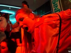 Черные, Куколка