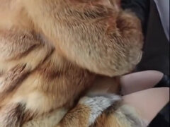 Любители, Черные, Минет, Кончили внутрь, Перчатки, Каблуки, Кожа, Тугие