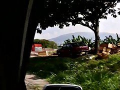 車, 現実, フェラする