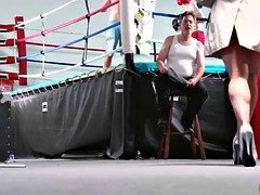 Blasen, Braunhaarige, Hundestellung