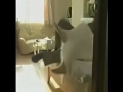 Amateur, Asiático, Mamada, Pajear, Sexo duro, Marido, Japonés, Maduro
