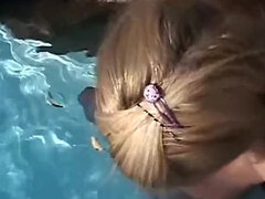 Watch notable Little Summer's xxx