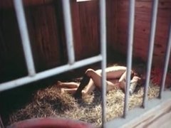 Américain, Sucer une bite, Groupe, Hard, Orgie, Chatte, Adolescente, Mouillée