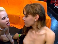 Blowjob, Bukkake, Cum in mouth, Cumshot, Facial, Gangbang, Hardcore, Kissing