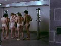 Минет, Двойное проникновение, Сперма на лице, Волосатые, Винтаж