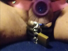 Reverse chastity belt with ring lock and blue penis plug in piss hole